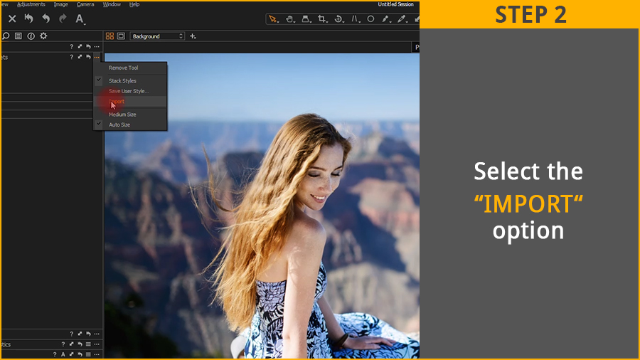 Capture one pro styles download