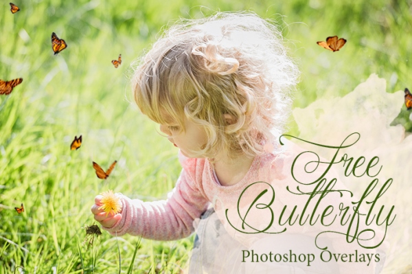 lightroom landscapу presets free poster nature