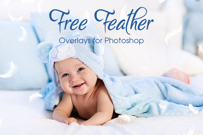 lightroom landscapу presets free poster nature