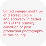 Asian photographers are welcome