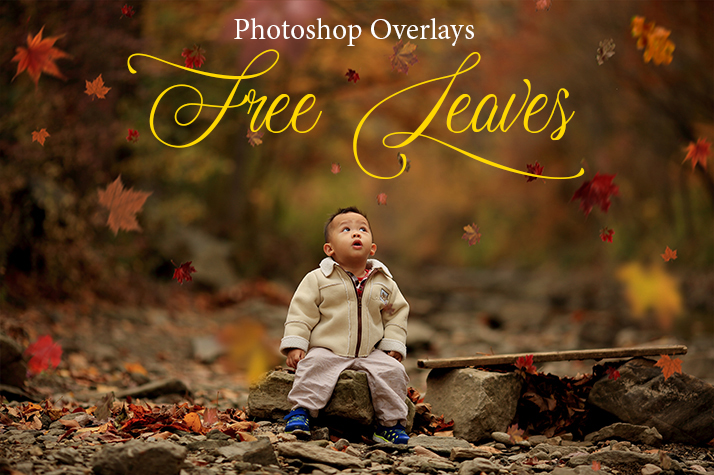 leaves overlay photoshop free poster nature