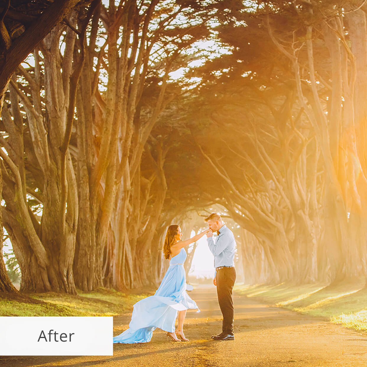 wedding lightroom presets after