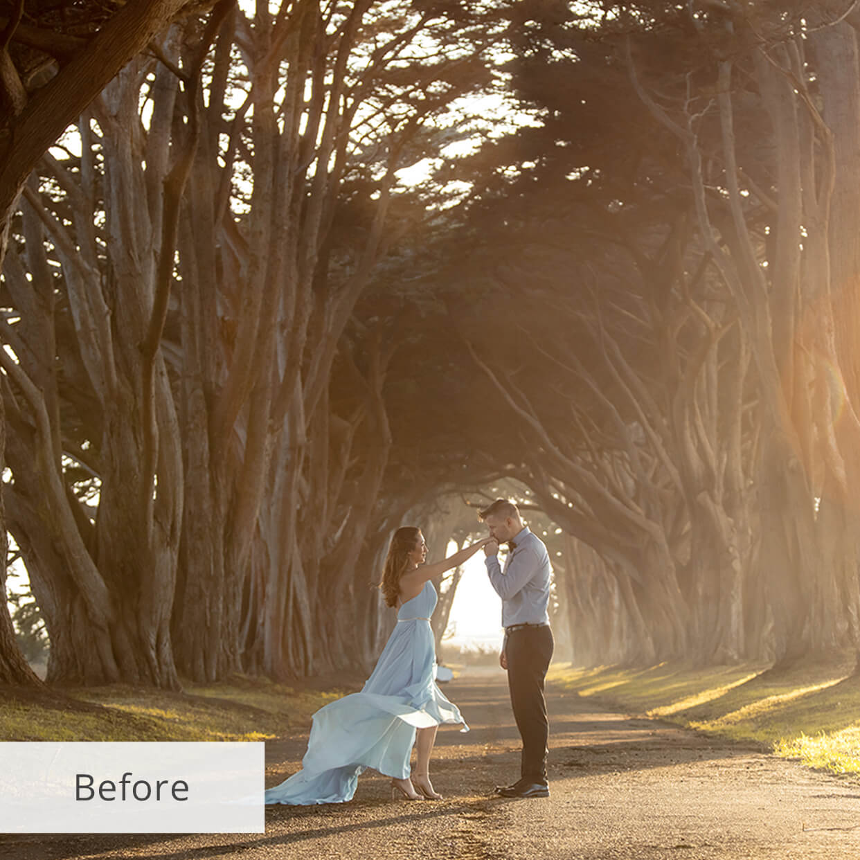 wedding lightroom presets before