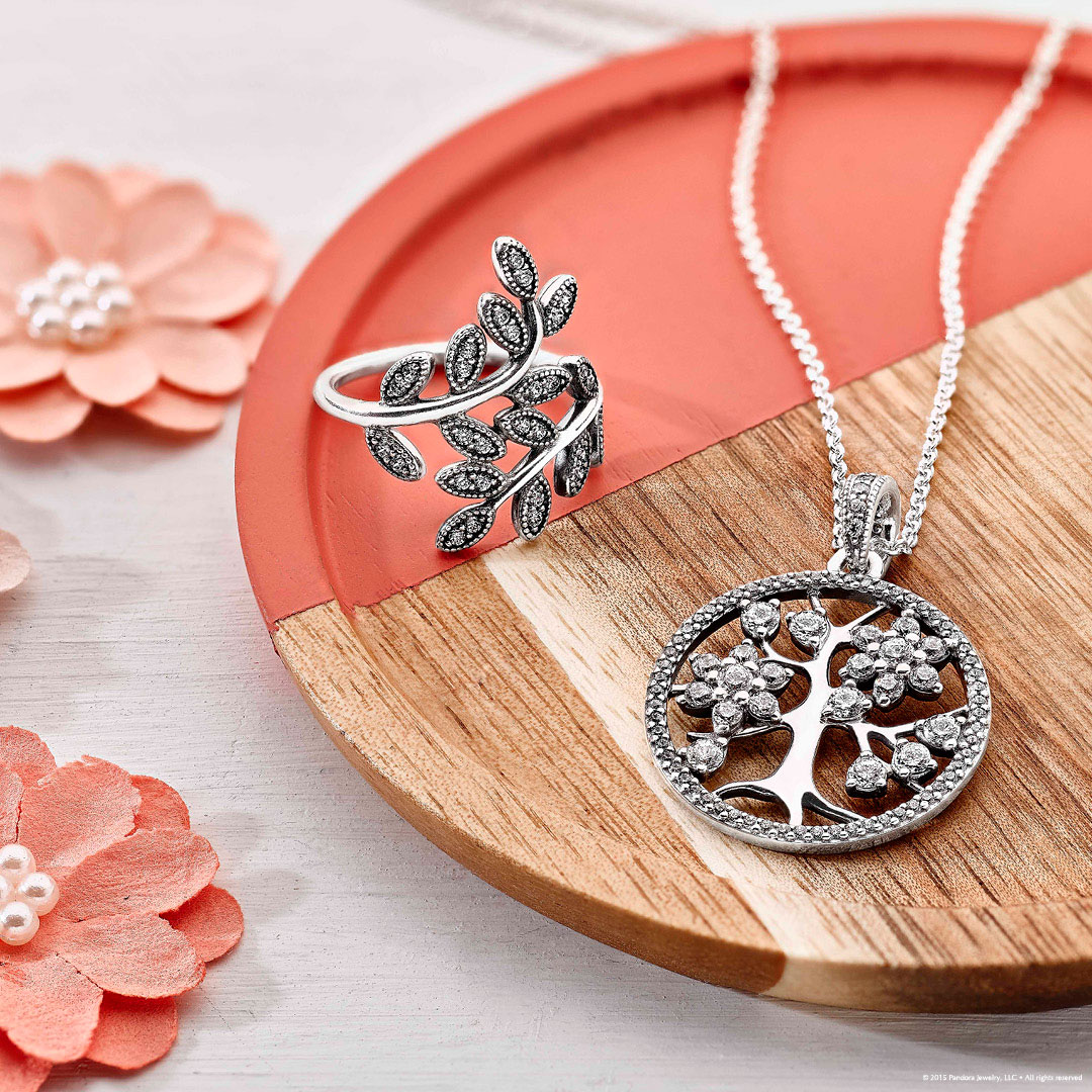 Jewelry Photography Kit to Start Photographing Jewelry Like a Pro