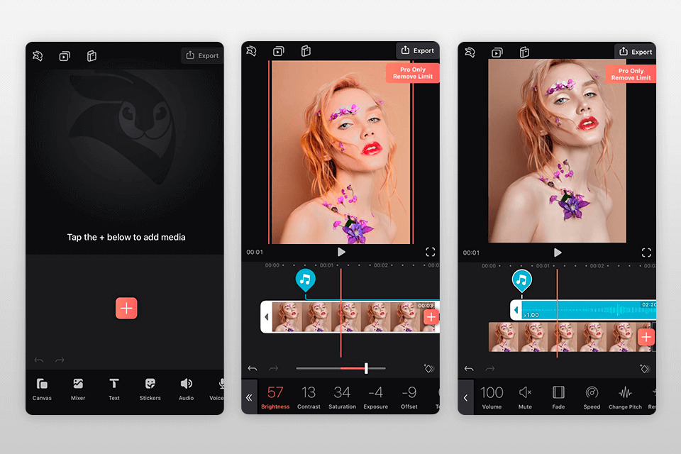 videoleap brighten video app interface