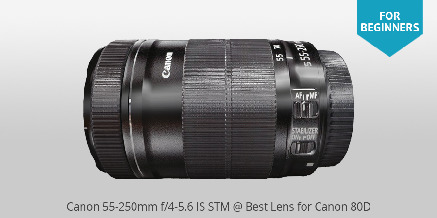 Canon 55-250mm f/4-5.6 IS STM best lens for canon 80d