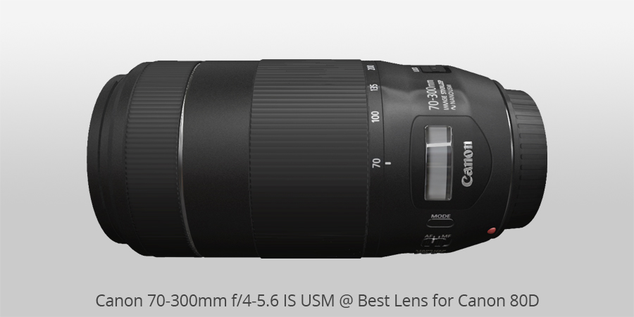 Canon 70-300mm f/4-5.6 IS USM best lens for canon 80d
