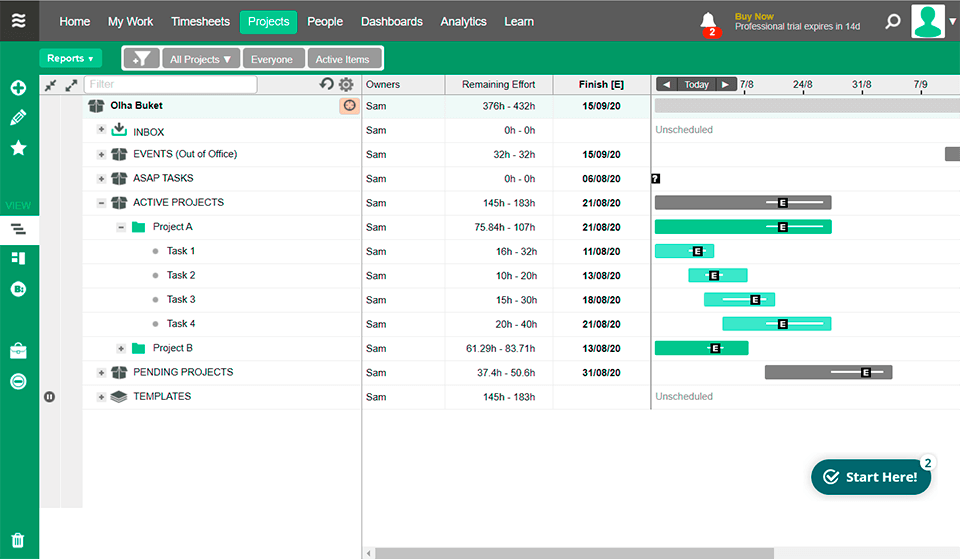 liquideplanner project management software interface