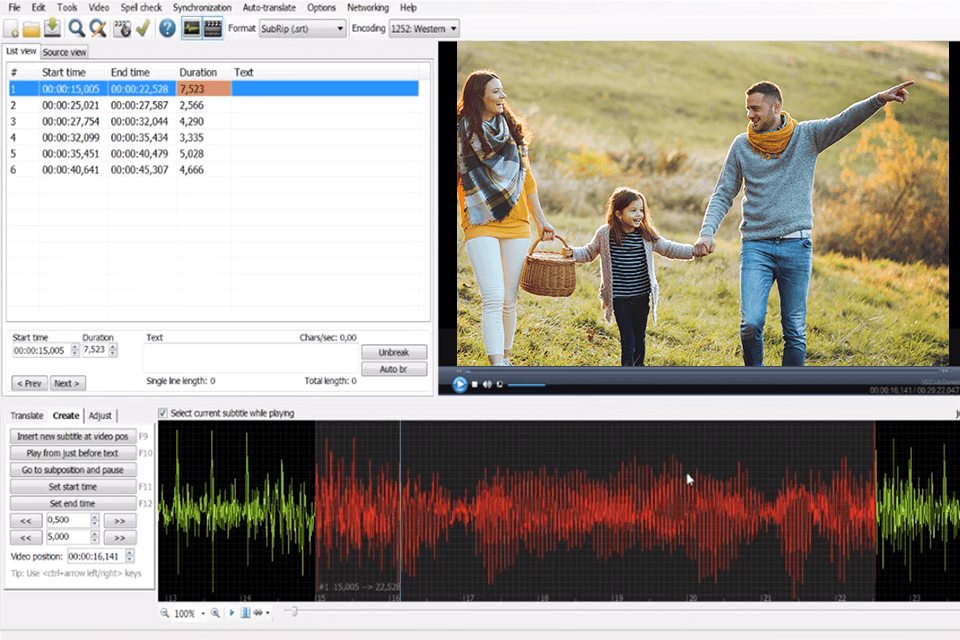 subtitle edit interface