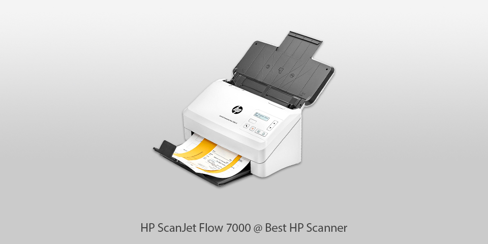 hp large format scanner