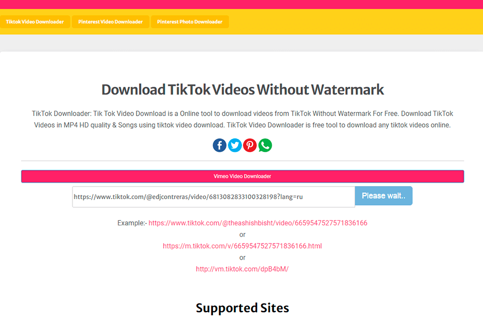 expertsphp tiktok video downloader interface