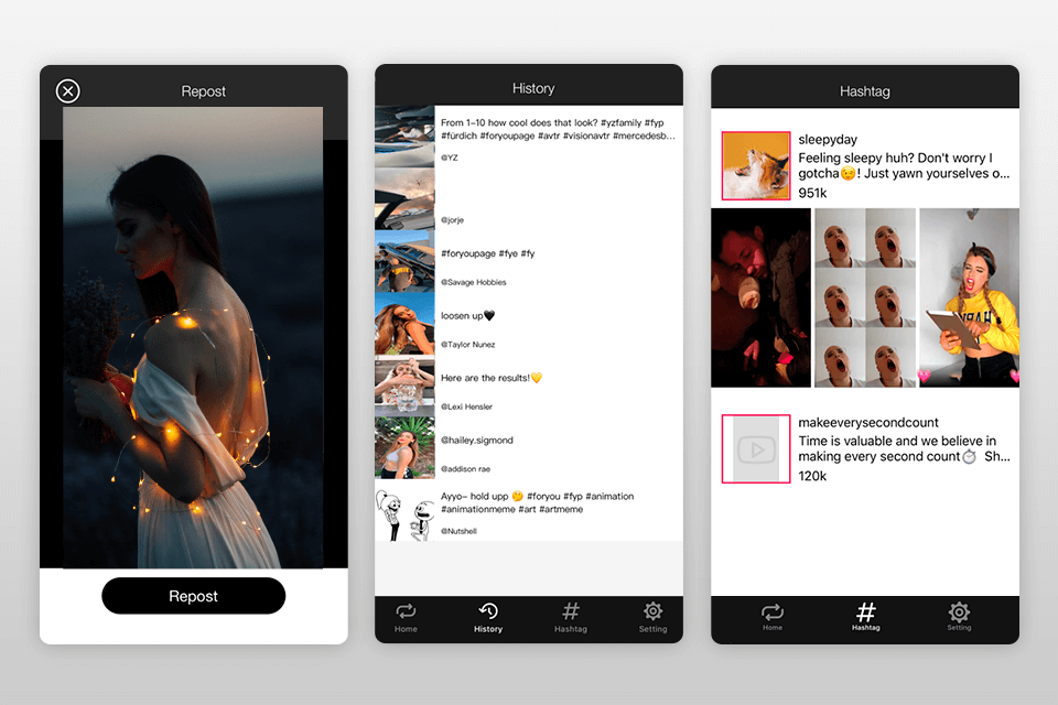 repostik tiktok video downloader interface