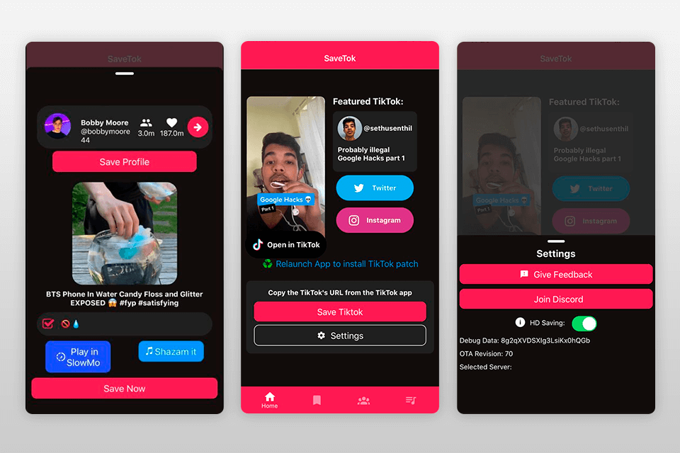 savetok tiktok video downloader interface
