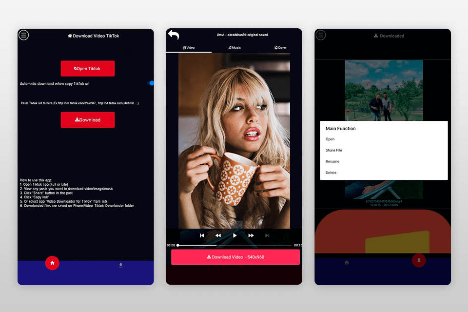 tiktok video downloader without watermark interface
