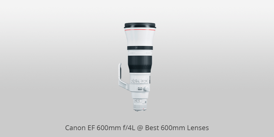 600mm lenses canon-ef