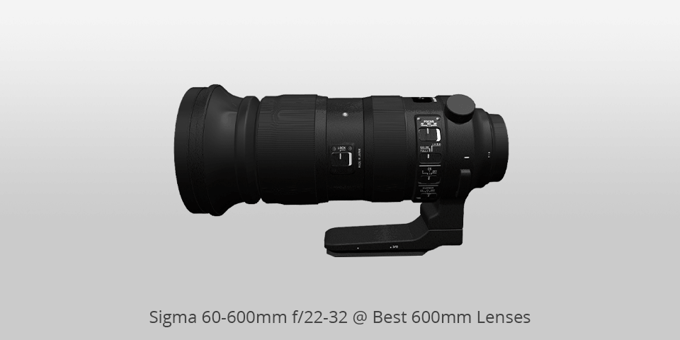 600mm lenses sigma