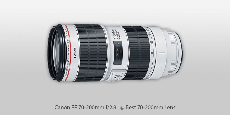 canon ef 70-200mm f/2.8l lens
