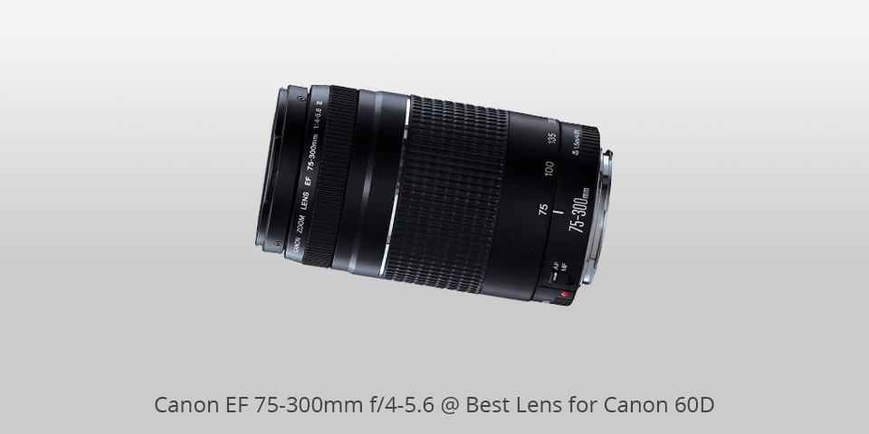 best lenses for canon 60d