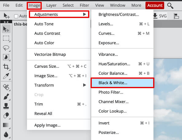 photo into a coloring book black and white