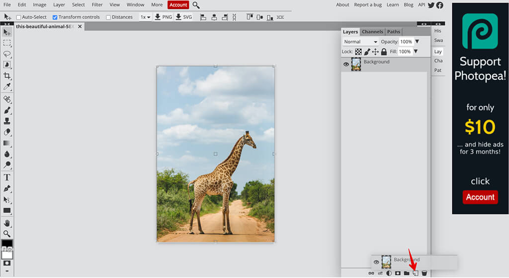 photo into a coloring book duplicate a layer