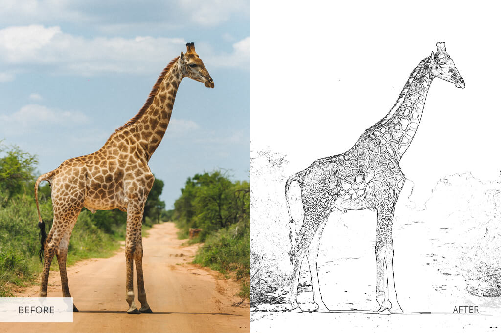 turn your photo into a coloring book