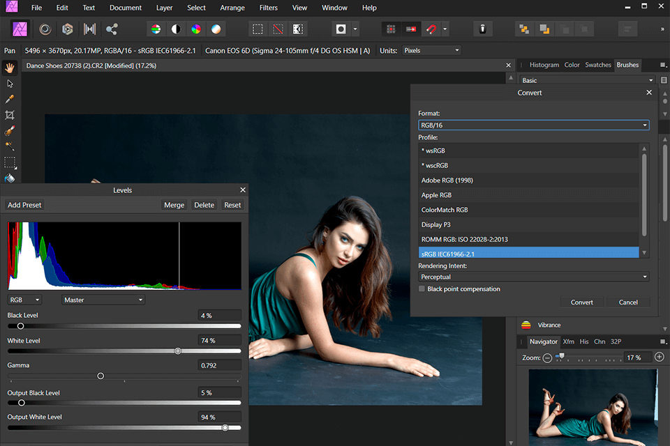 converseen interface de convertisseur svg