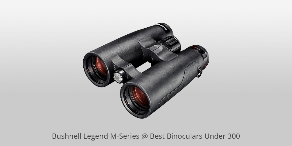 bushnell low cost binoculars