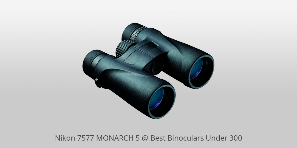 nikon affordable binoculars