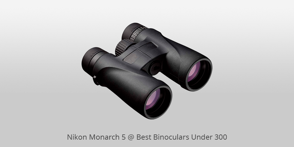nikon affordable binoculars