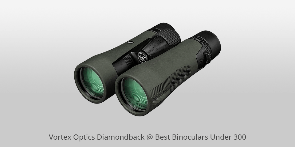 vortex low cost binoculars