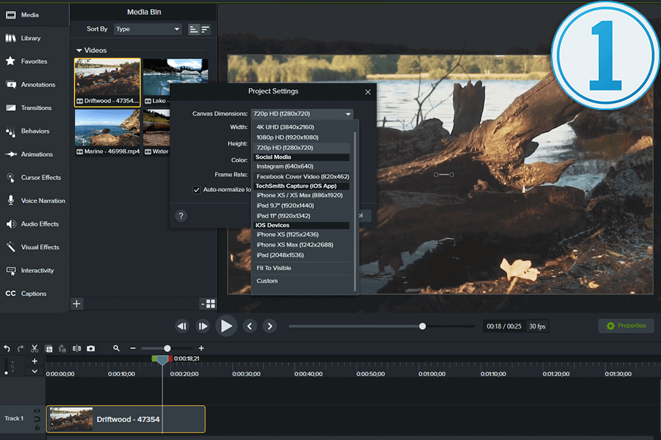 capture one interface