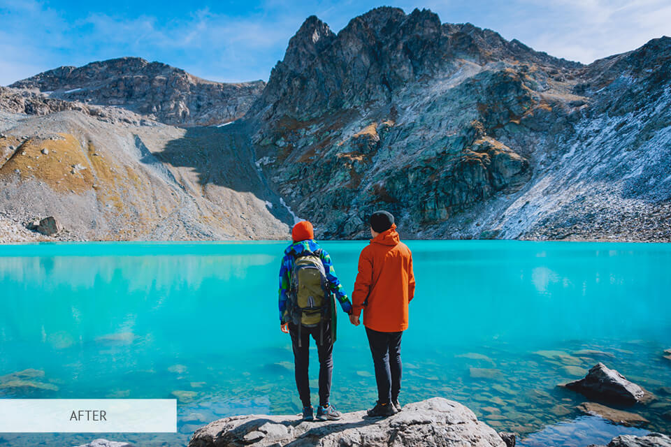 free premiere element luts