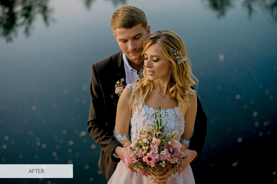 free premiere element luts