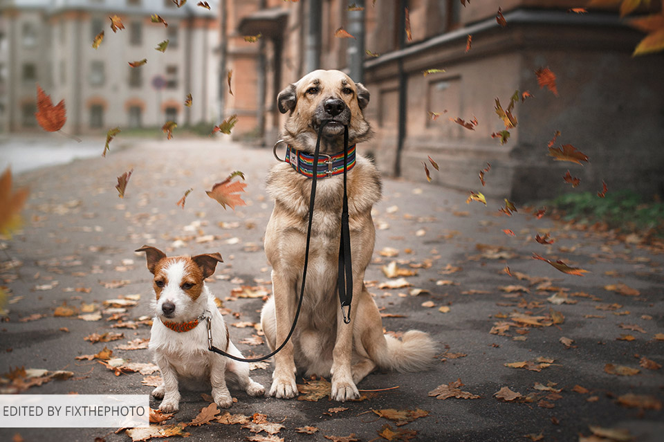 color correction editing service