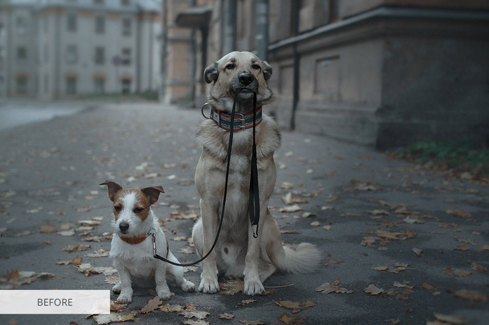 color correction editing service