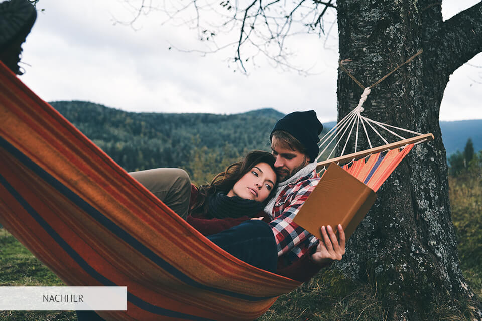 lut schatten-ton für premiere pro kostenlos downloaden