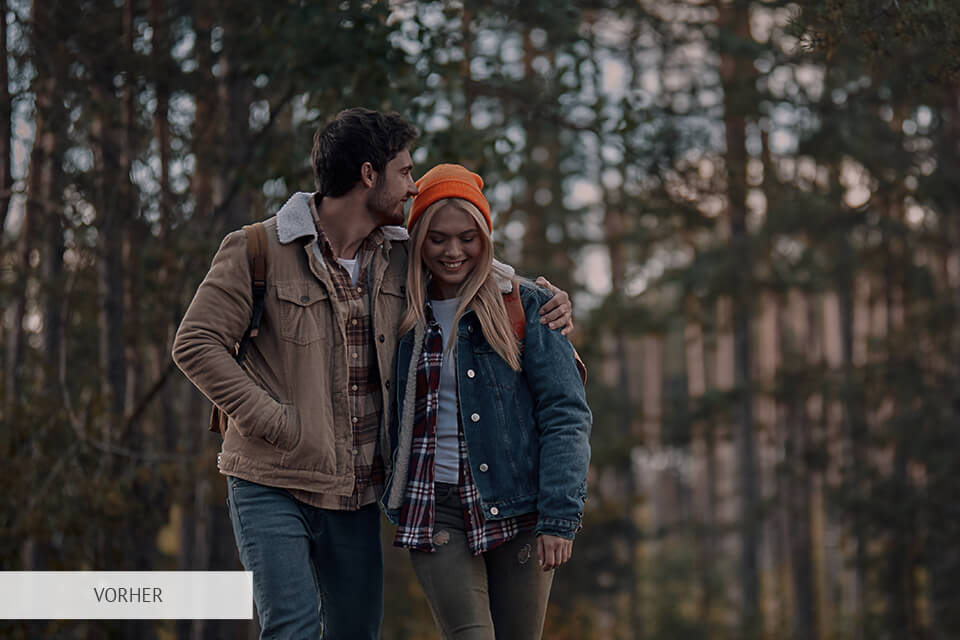 lut warmes licht für premiere pro kostenlos downloaden