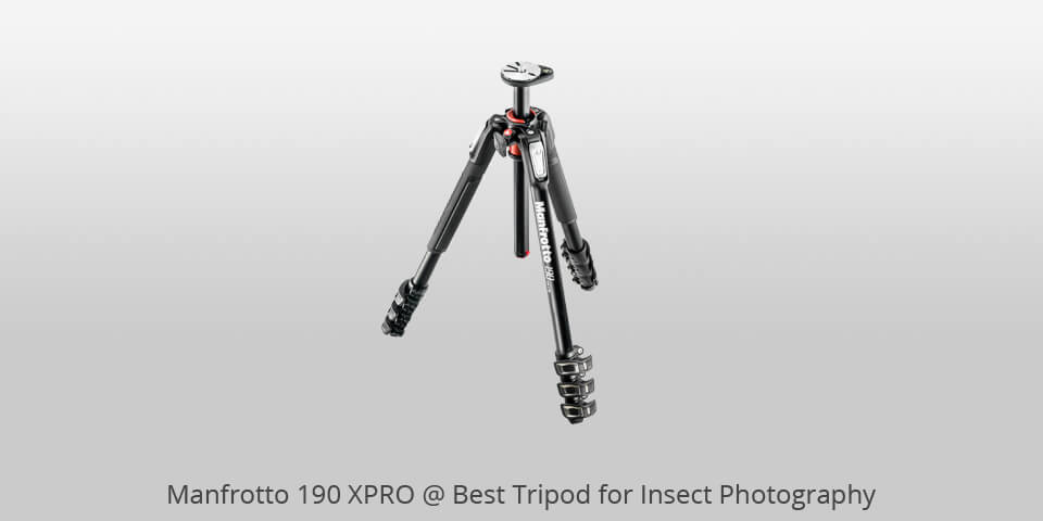 best tripod for insect photography