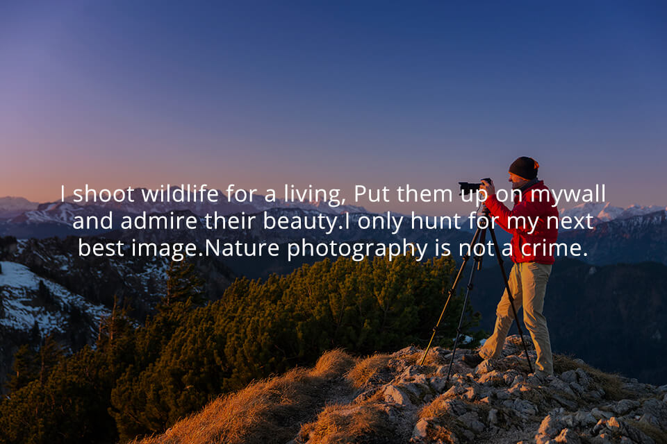 photography jokes and puns