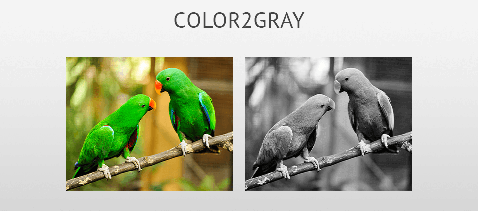 color2gray indesign plugin