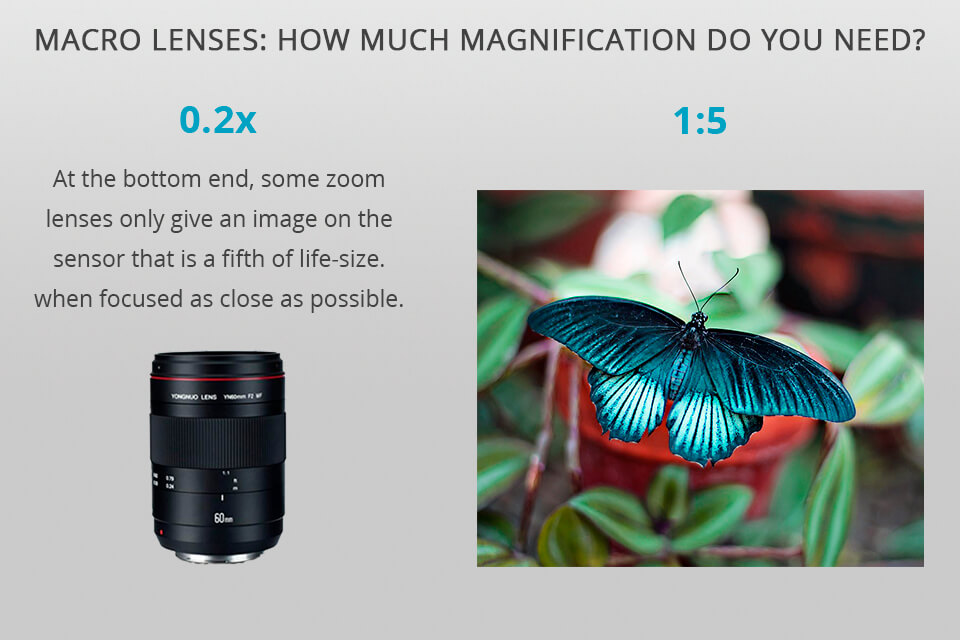 macro lenses cheat sheet