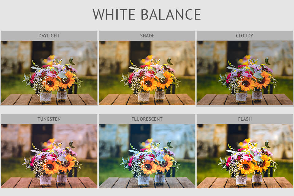 white balance cheat sheet