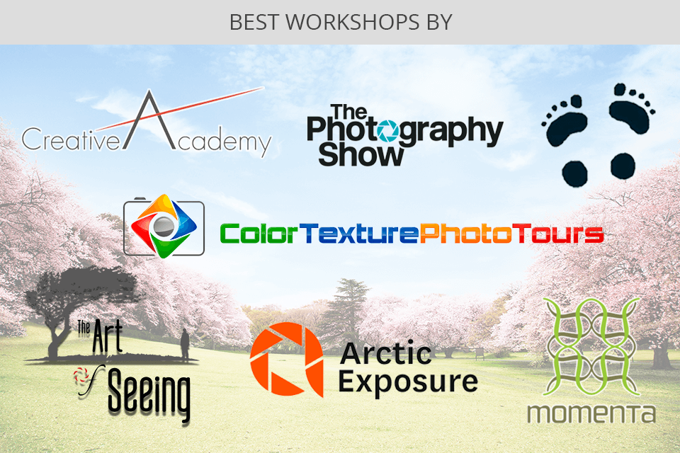 freelance photography workshops