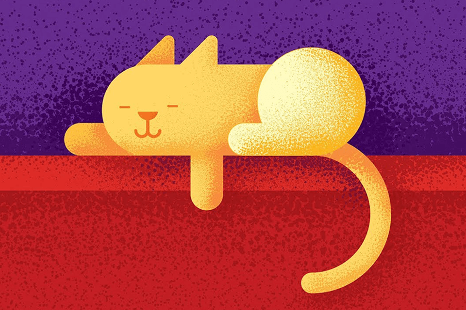 cat grain and noise texture adobe illustrator tutorials