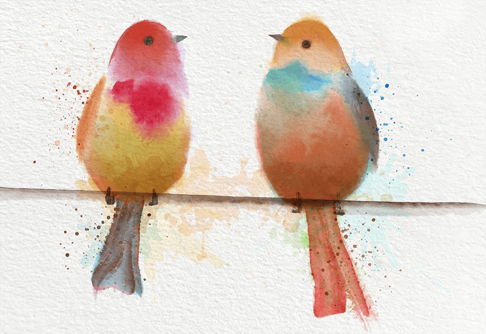 vector watercolor brushes birds drawing adobe illustrator tutorials