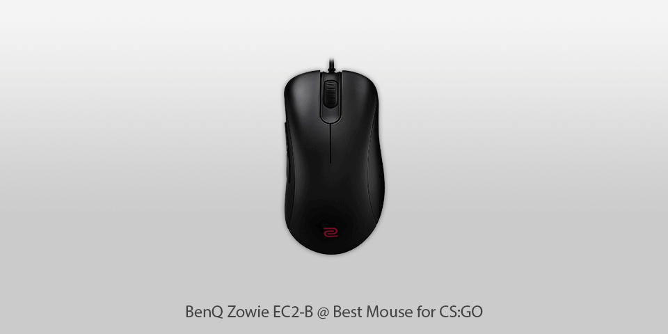 best counter strike mouse zowie