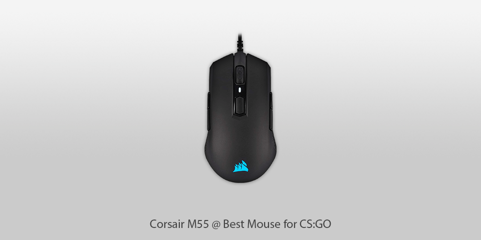 most used mouse by cs go pros