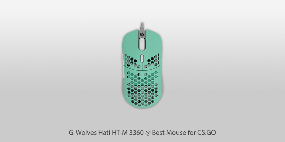 best mouses for csgo