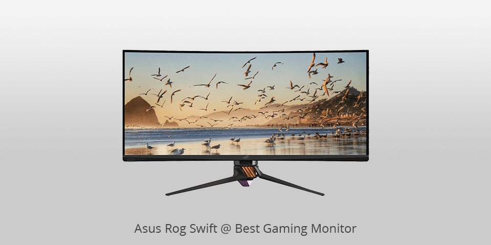 top high-end gaming monitor