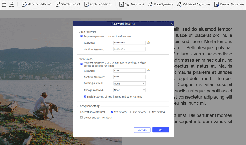 pdfelement security